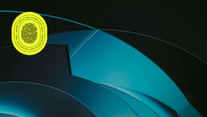 wordpress website